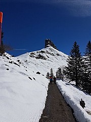 Restaurant Berggasthaus Urnerstaffel