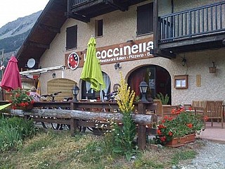 Coccinella