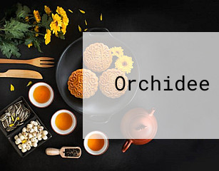 Orchidee