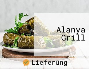 Alanya Grill