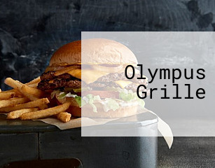 Olympus Grille