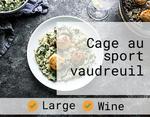 Cage au sport vaudreuil