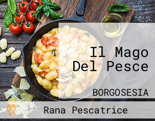 Il Mago Del Pesce