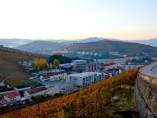 Caves Santa Marta-vinhos E Derivados Crl