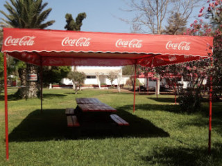 Camping Coca Cola Arica