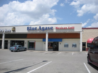 Blue Agave