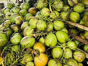 Air Kelapa Piyor Coconut Shake