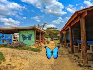 Waterfall Valley Of The Butterflies