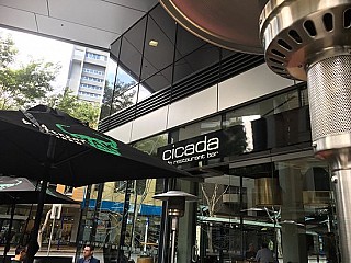 Cicada