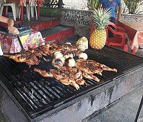 Polleria Los Pajaros