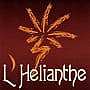 L'hélianthe