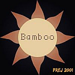 Bamboo