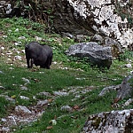 El Redondin Casa Rafa