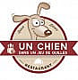 Un Chien Dans un Jeu de Quilles