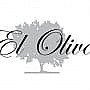 El Olivo