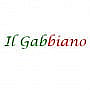 Il Gabbiano