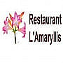 L'amaryllis