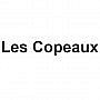 Les Copeaux