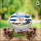 No Added Sugar Madagascar Chocolate Tub (450Ml/250G)