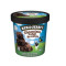 Ben And Jerry Ice Cream Fudge Brownie Pint