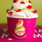 Regular Frozen Yogurt (10Z.