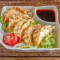 Yasai Gyoza Rì Shì Shū Cài Jiǎo Zi