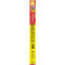 Slank Jim Deli Style Stick 1,8 Oz