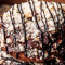 Almond Mocha Fudge