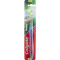 Toothbrush Colgate Single Adult Medium