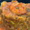 Mofongo De Camarones Salsa Criolla