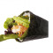 Temaki Crevette Tha Iuml;