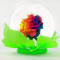 Everlasting Rainbow Rose Globe