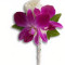 Fresh In Fuchsia Boutonniere