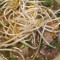 P7. Pho Steak Flank Tripe