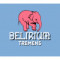 2. Delirium Tremens