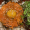 Salmon Tartare Donburi