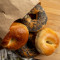 1/2 Dusin Bagels