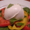 Frisk Mozzarella Tomatsalat