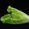 Romaine Salat